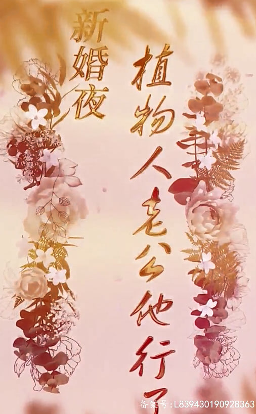 新婚夜，植物人老公他行了【1-4合集】