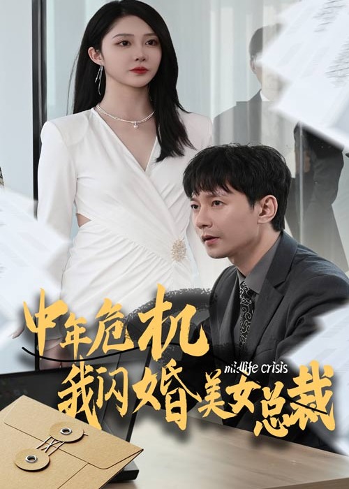 中年危机我闪婚美女总裁